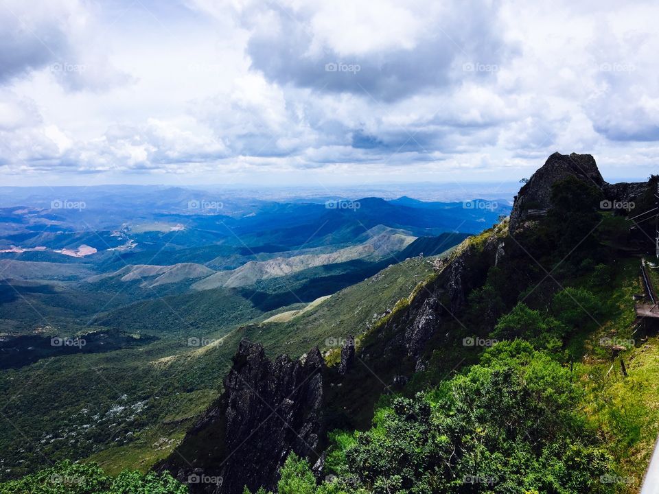 Forest of Brazil viewed from above