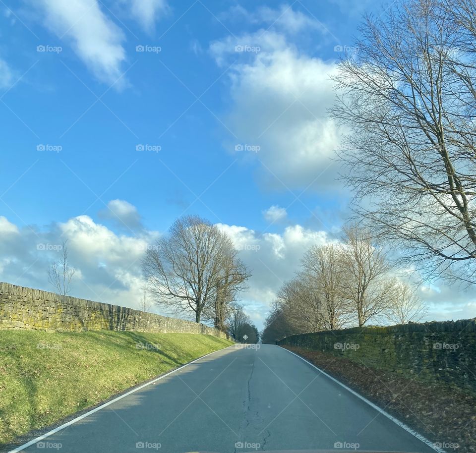 Tree lined road with rock wall