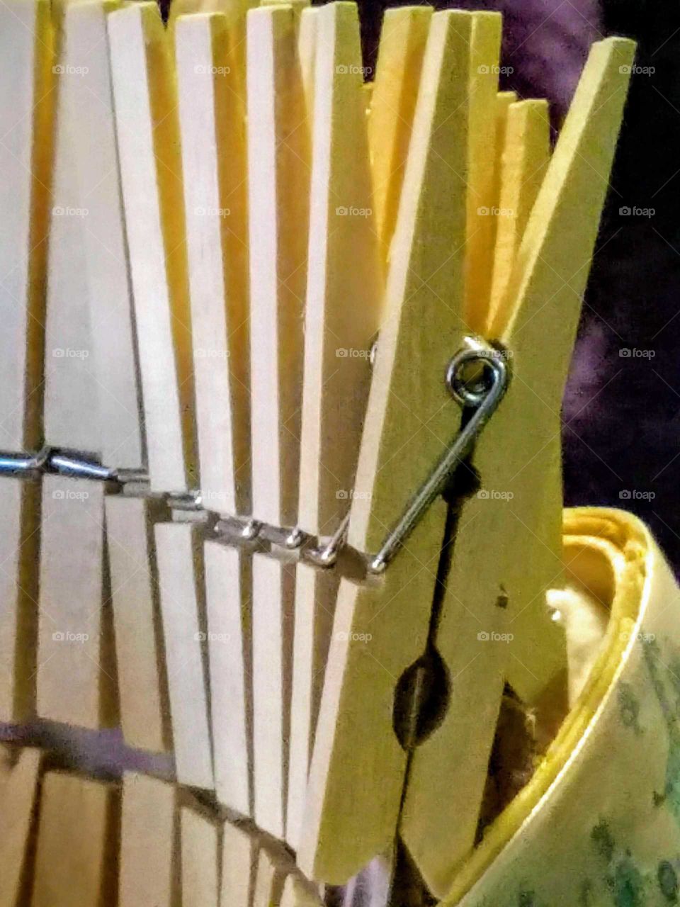 Clothes Pin Close-up