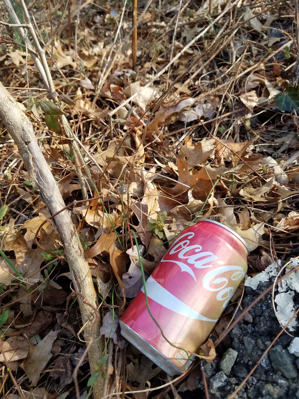 Lost Coke Can