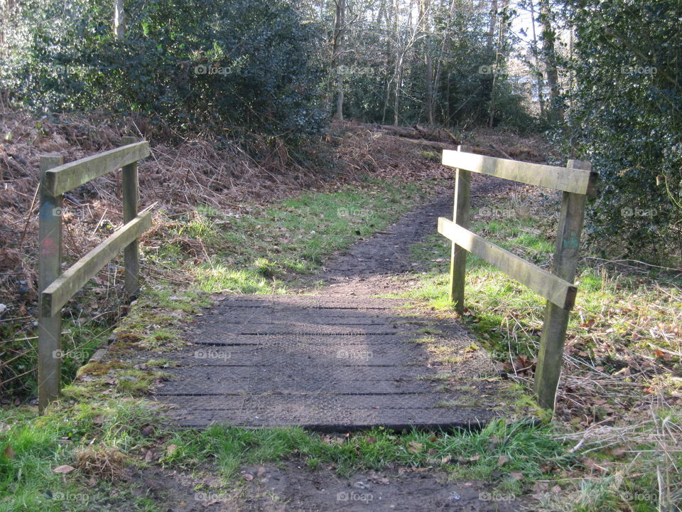 Wooden Bridge