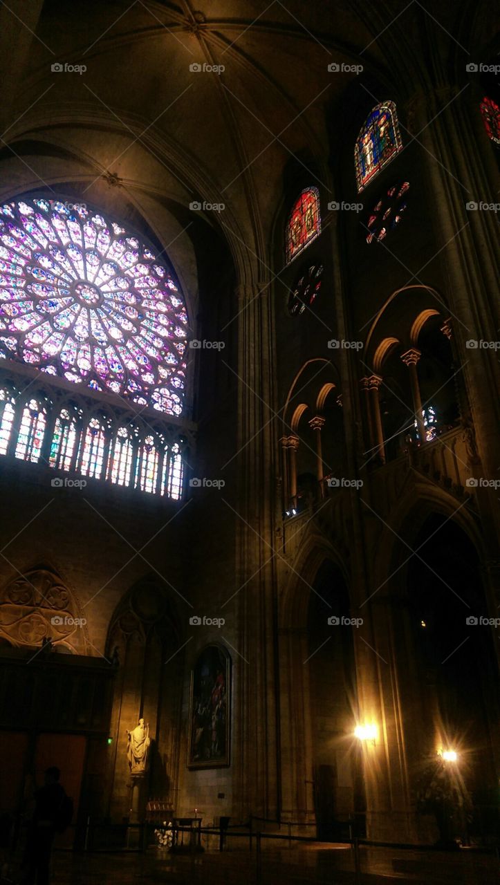 beauty shines through