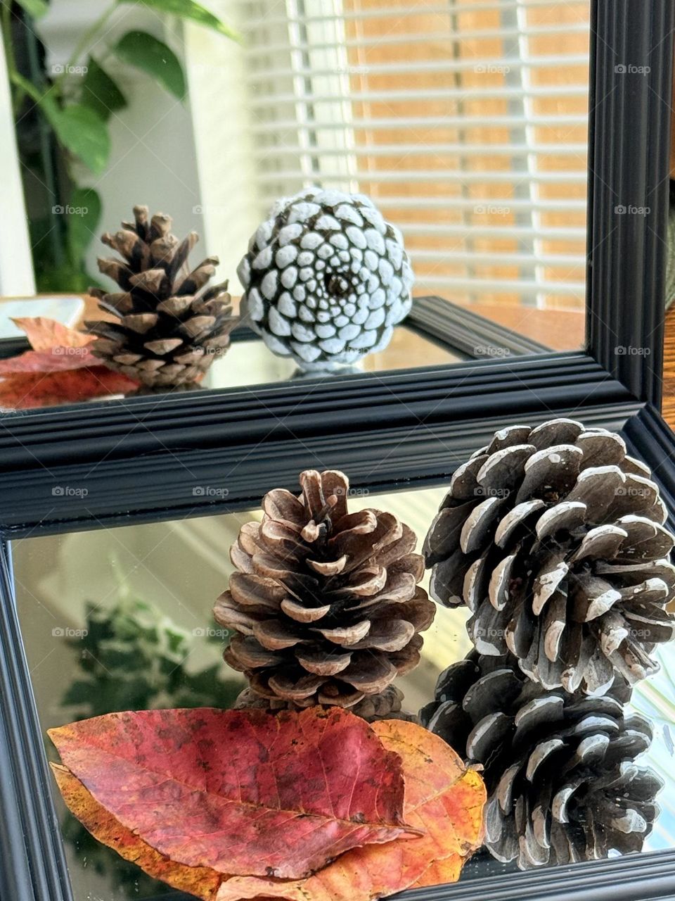 Pine cones