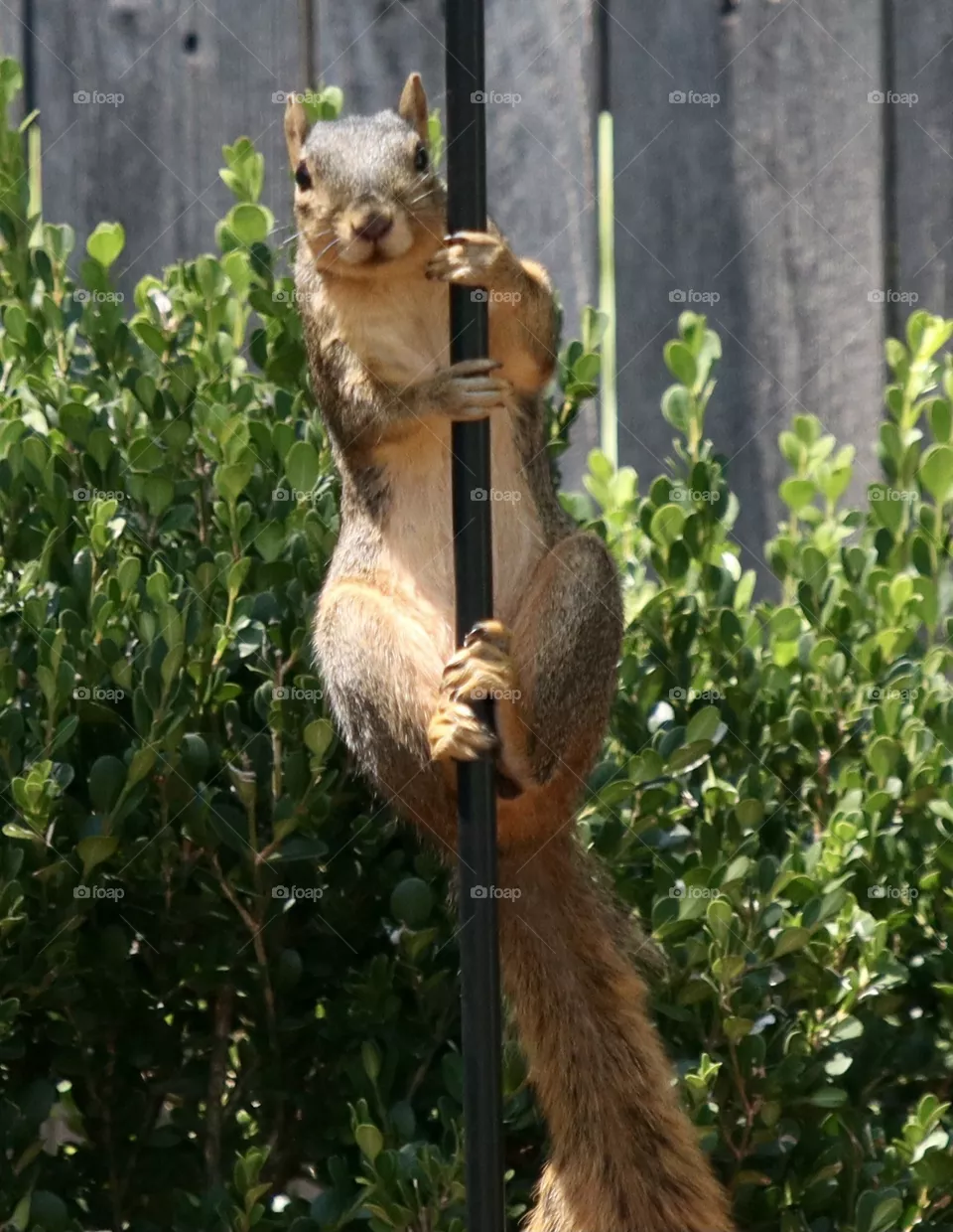 Hanging around 
