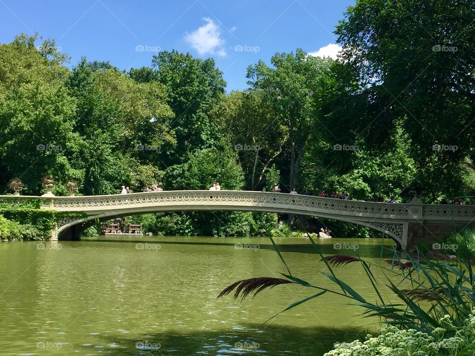 New York, central park