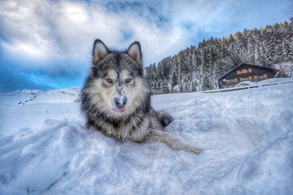 It's my first birthday