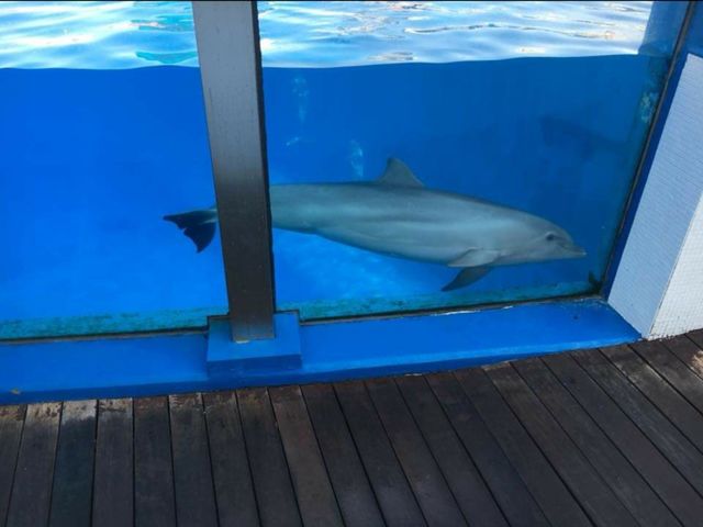 oceanografic