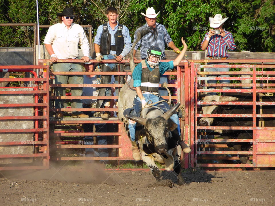 Riding the Bull