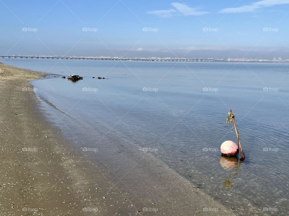 Morning at the river side