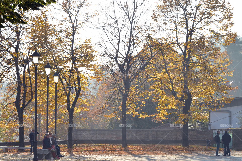 autumn in the park