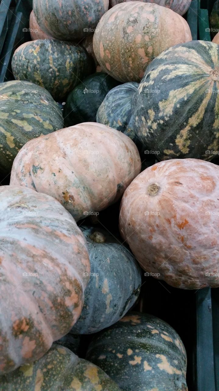 Full frame of a pumpking