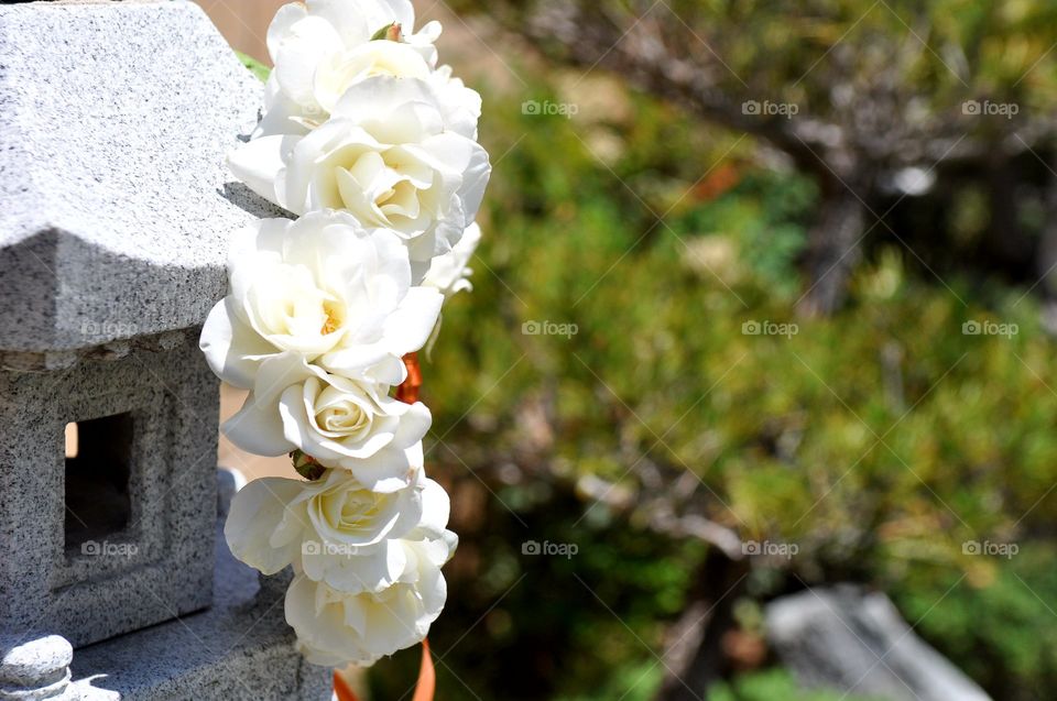 Beautiful white roses crown