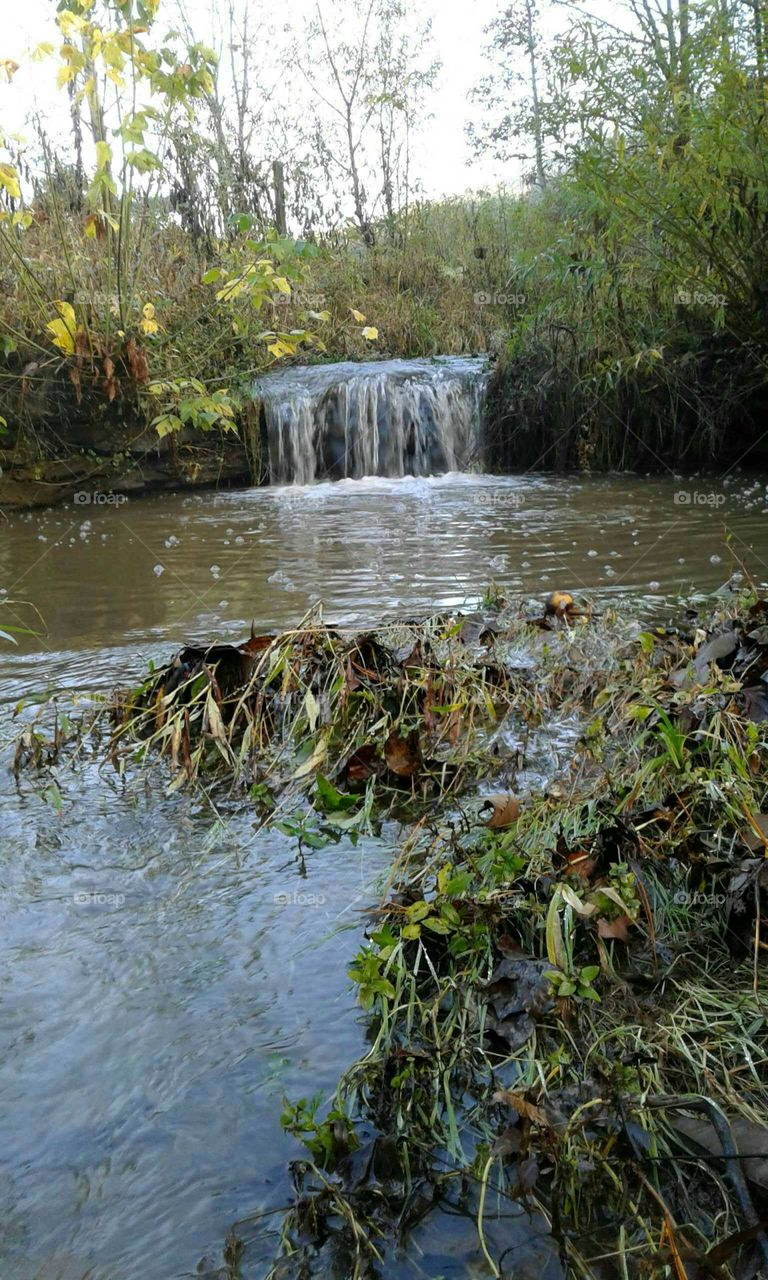 The Creek At Sunrise