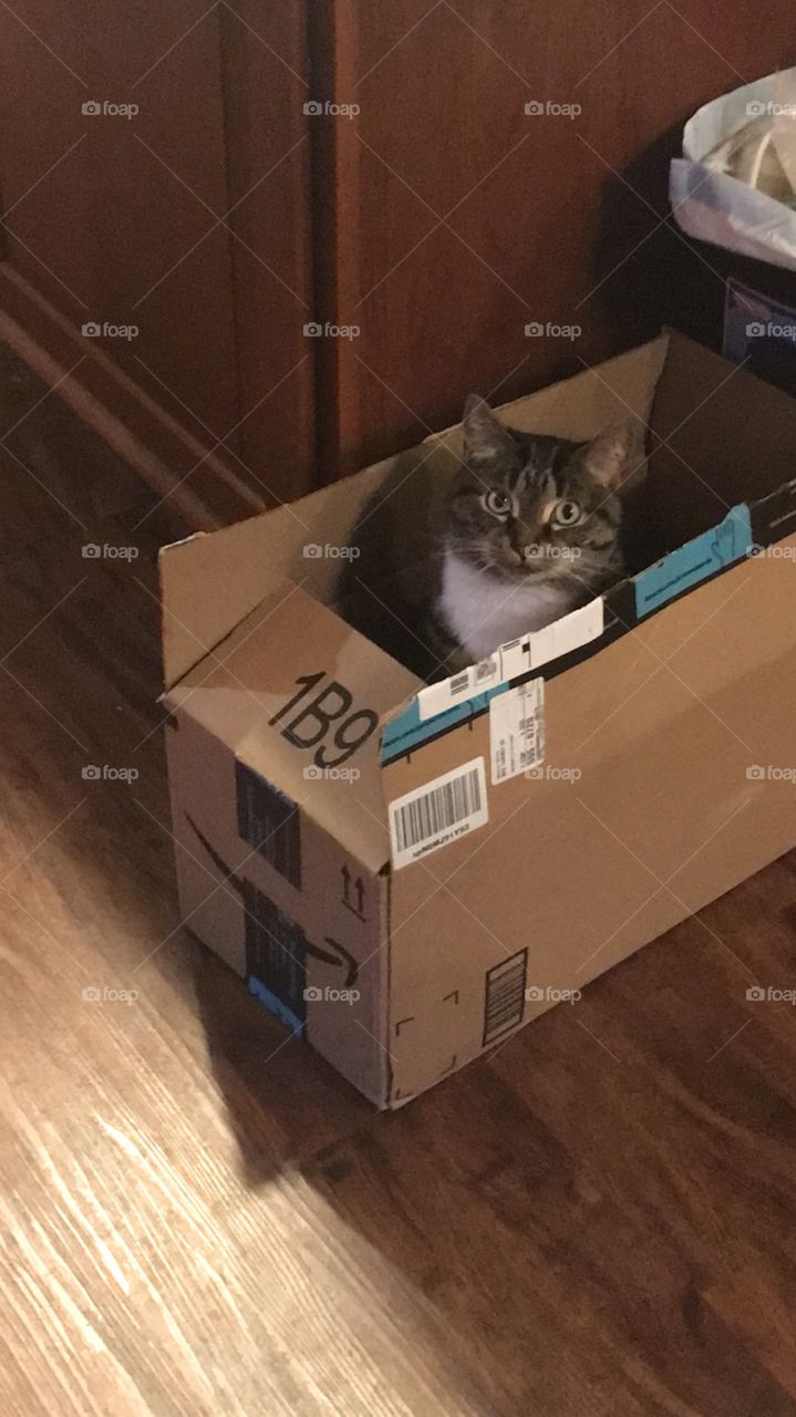 Your package has arrived