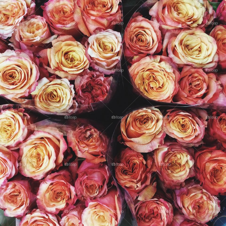 Close-up of flower bouquet