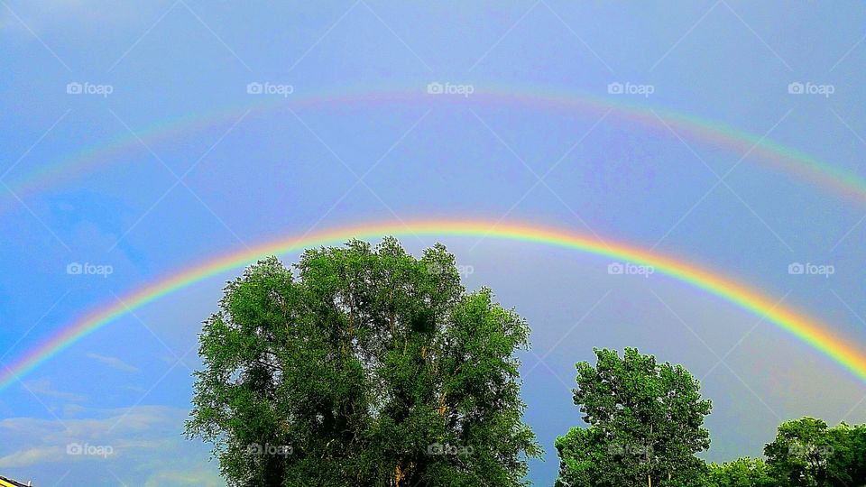 June showers ....and promises