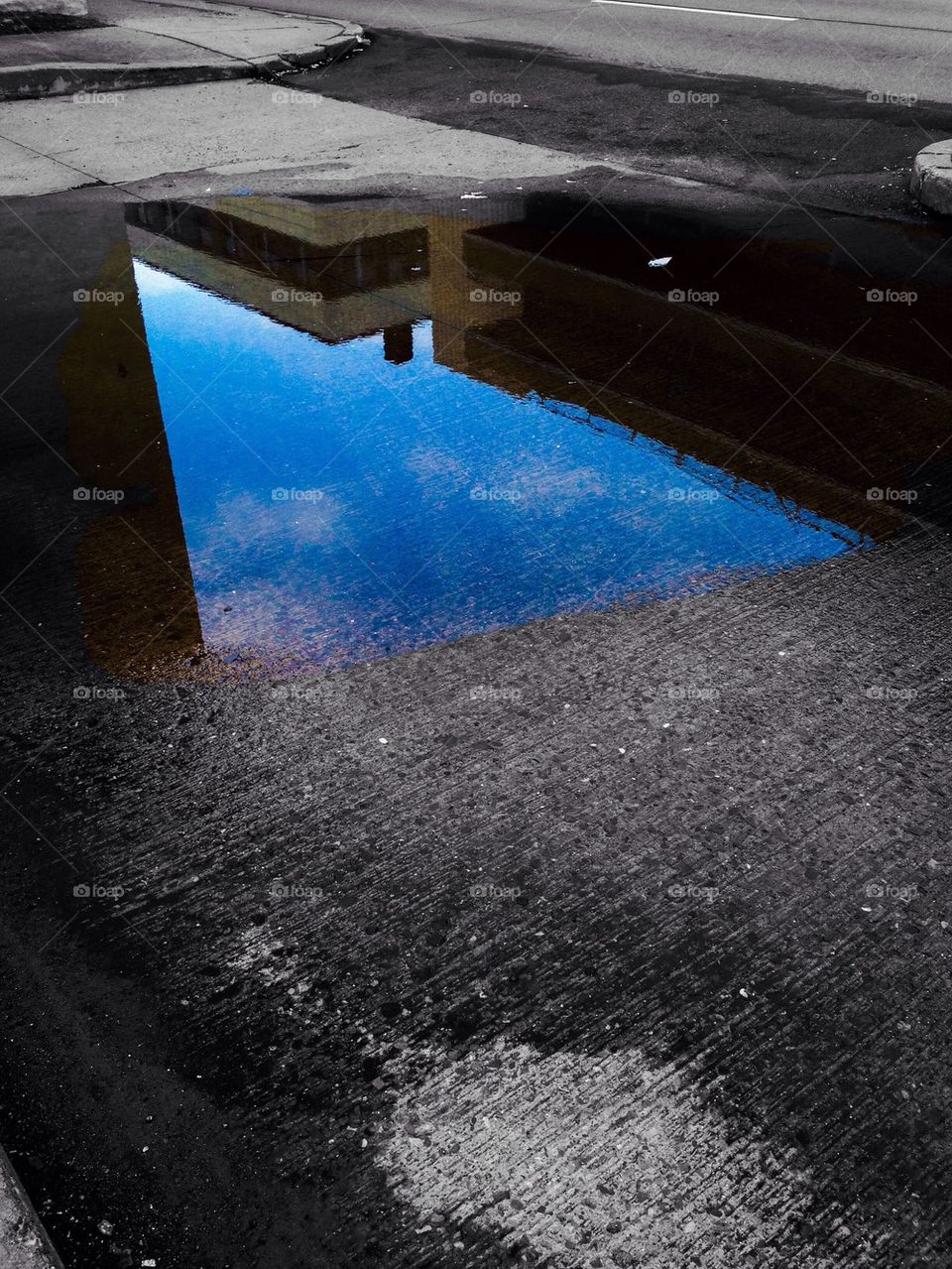 Rain Puddle reflections 