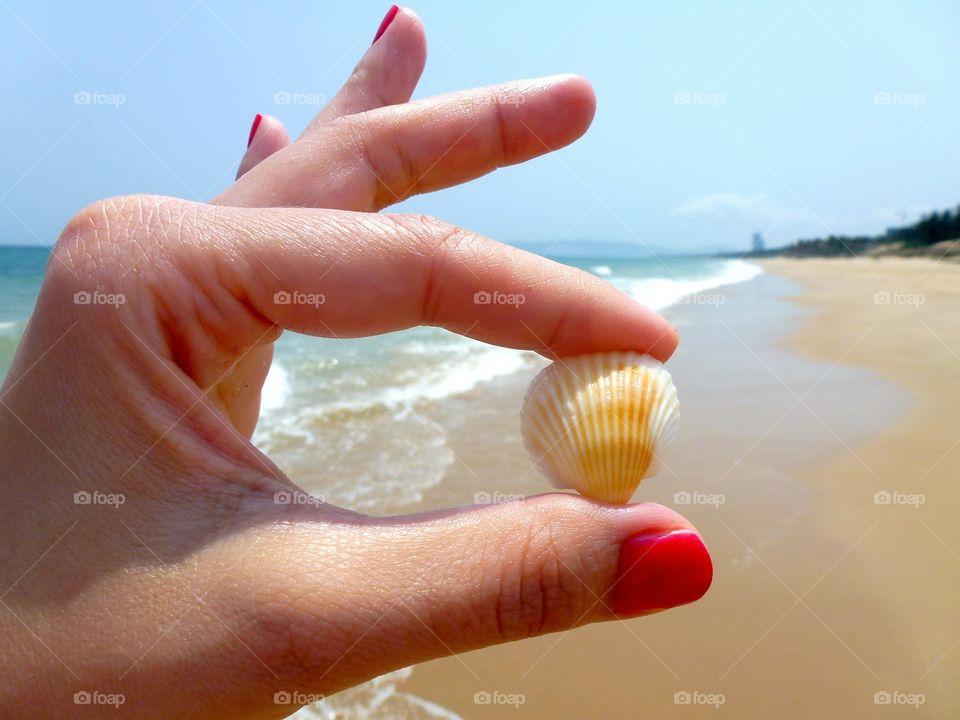 Beautiful hand holding sea shell