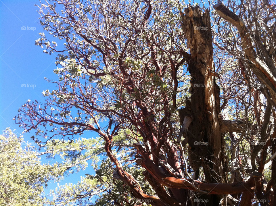 snow sky blue sun by emmanuelgr