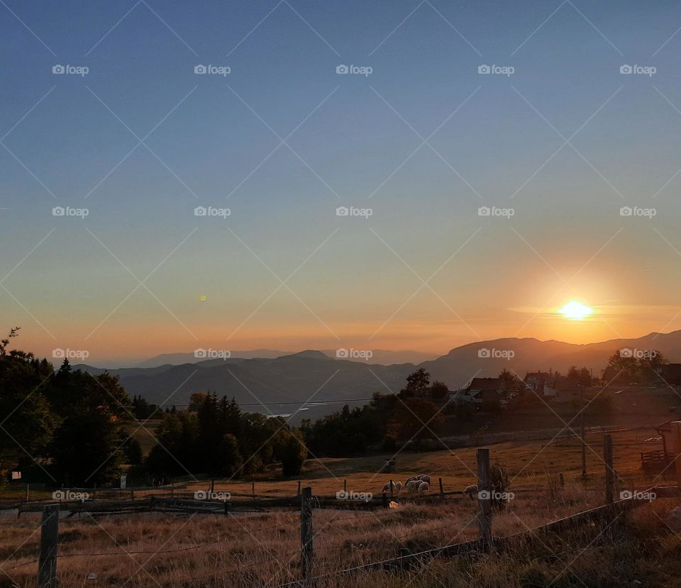 Sunset on Tara, one of the most beautiful mountains in Serbia. In this picture you can see pastures with sheep enjoying the fresh air. Lake Zaovisko can also be seen in the distance