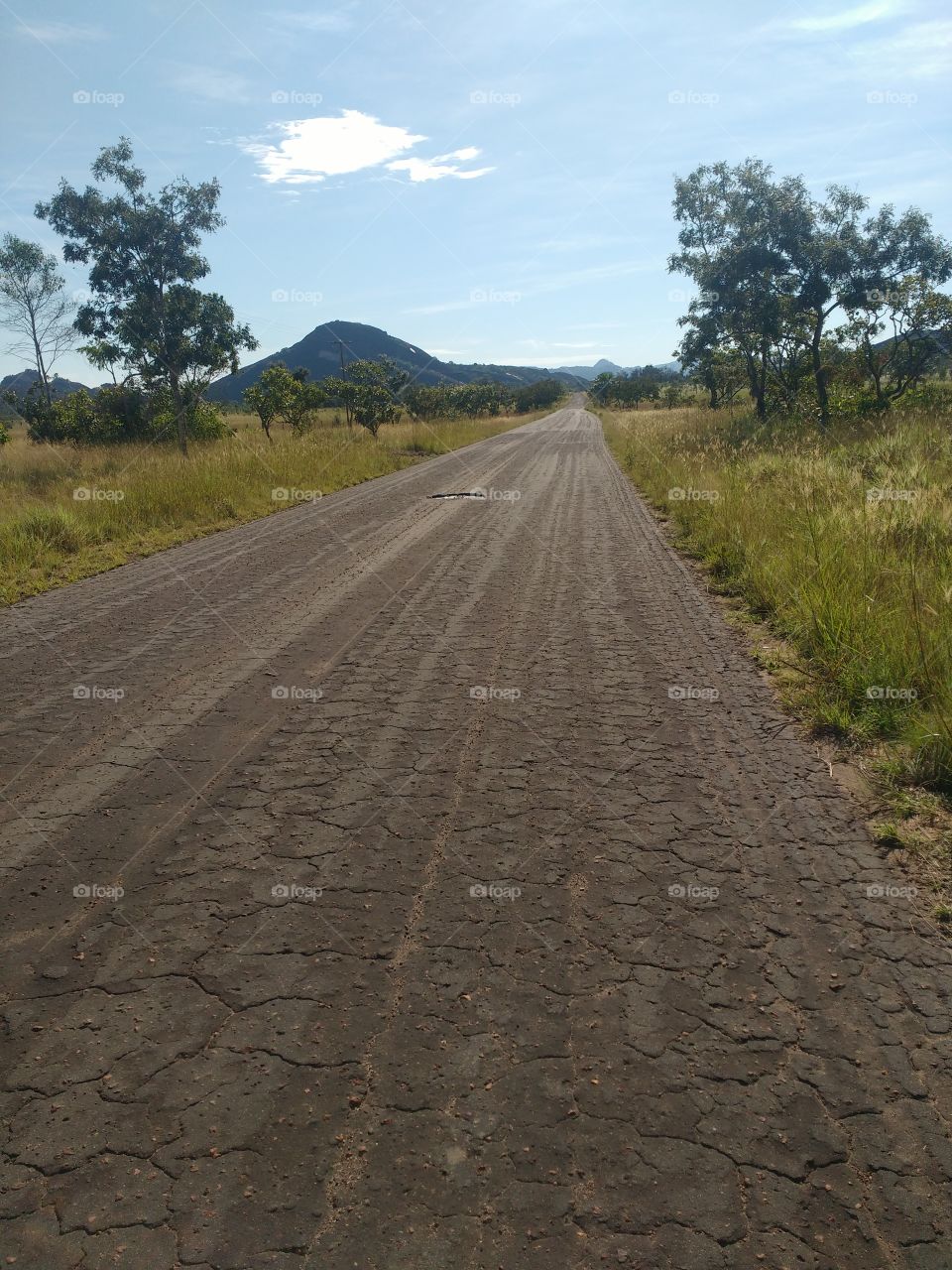 Carreteras en medio de la selva Amazónica