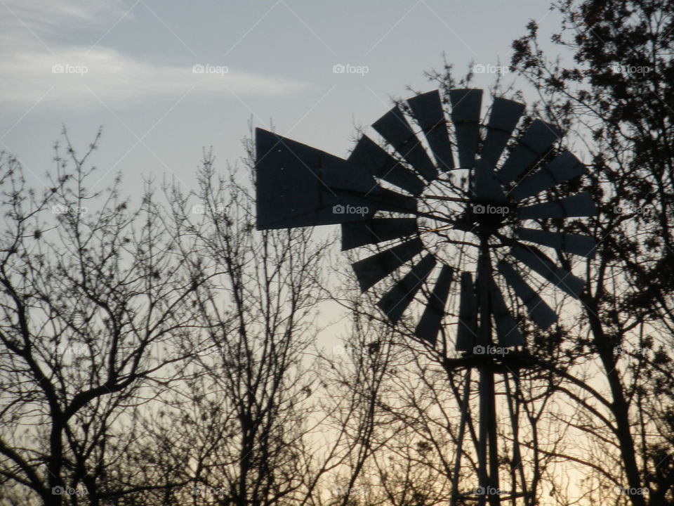 Morning windmill