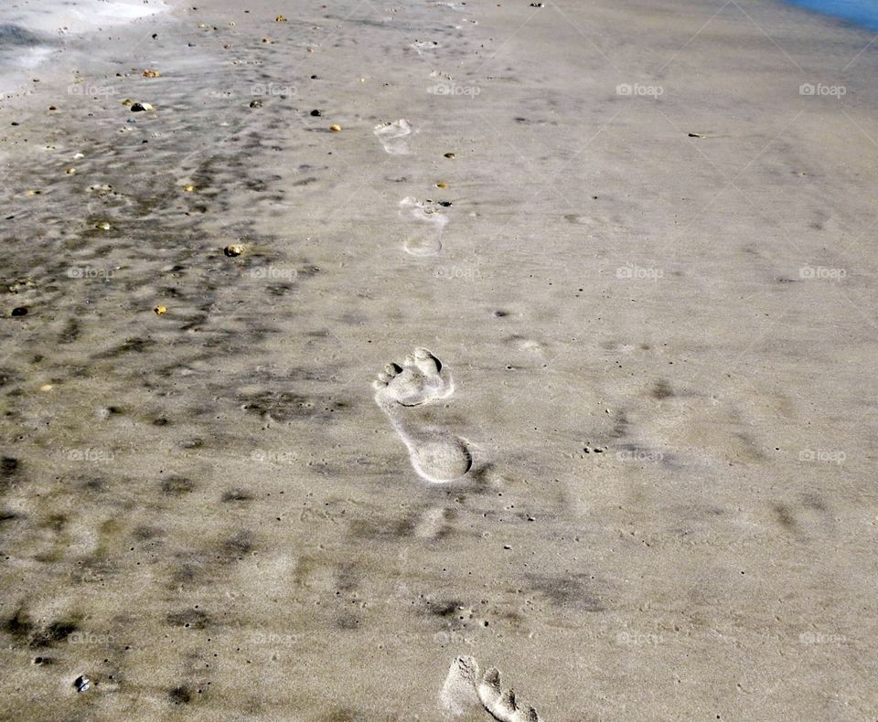 Footprints in the sand