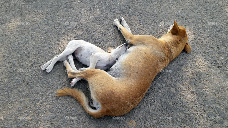 Wherever there is mom, that place is home, safe and secure.