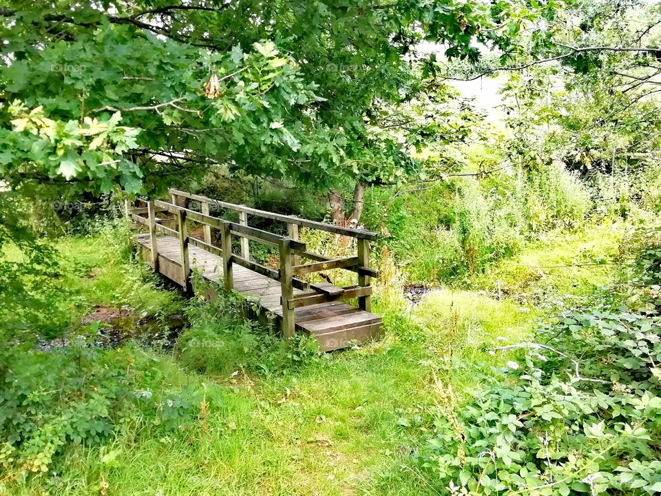 Wooden bridge over a stream in a rural landscape