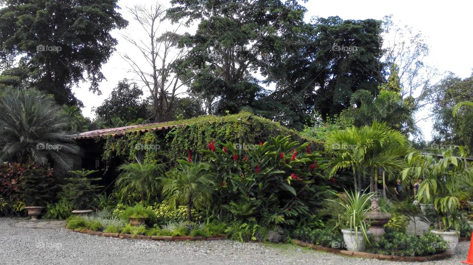 Angeli Garden, San Pedro Sula, Honduras