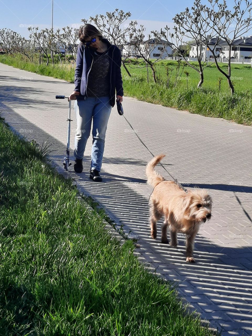 woman walking her dog