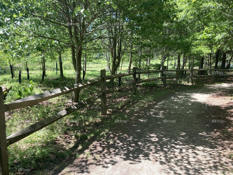 Fenced path in park in nature