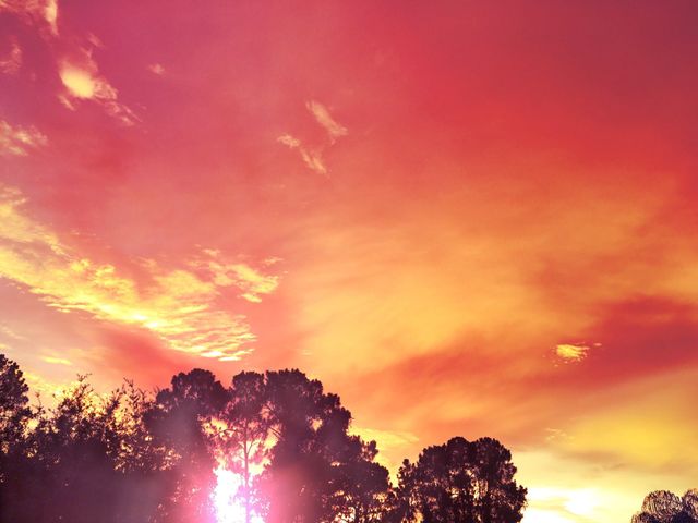 Scarlet Sunset