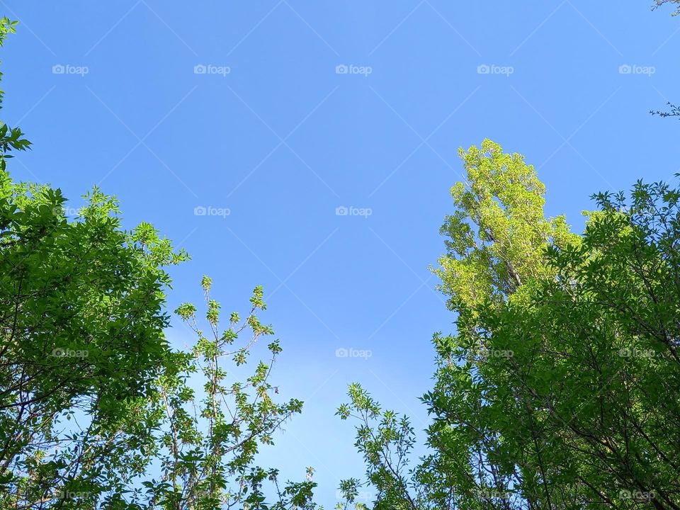 Spring colours of sky and nature