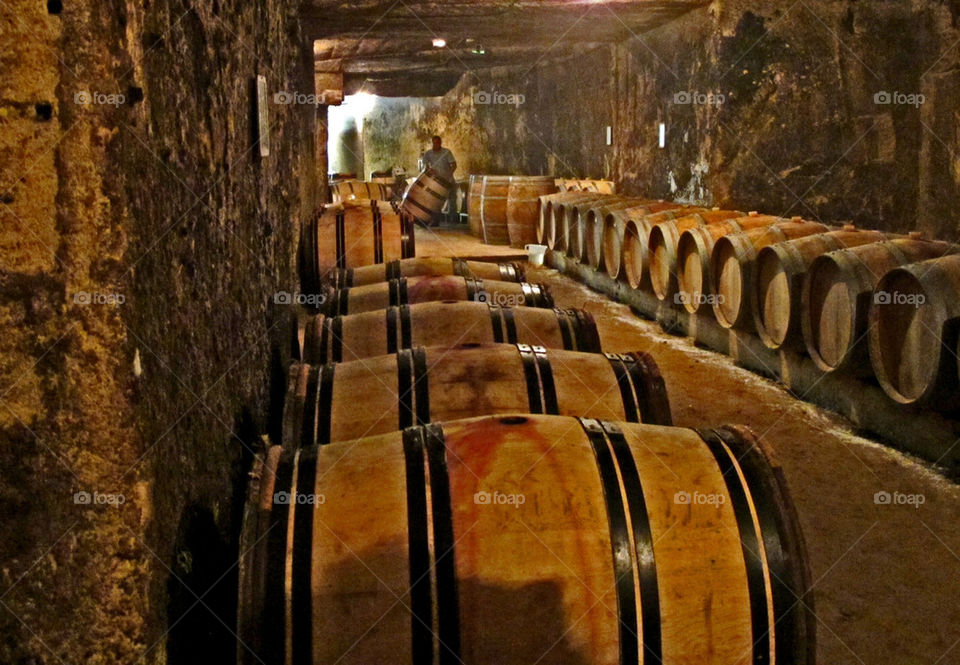 cellar france wine barrels by urbanart