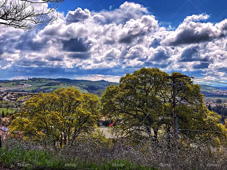 Trees, sky and hills