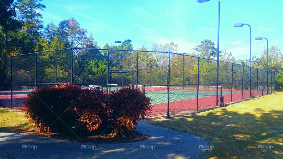 Beautiful Vibrant Colors Of Tennis Courts In Fall
