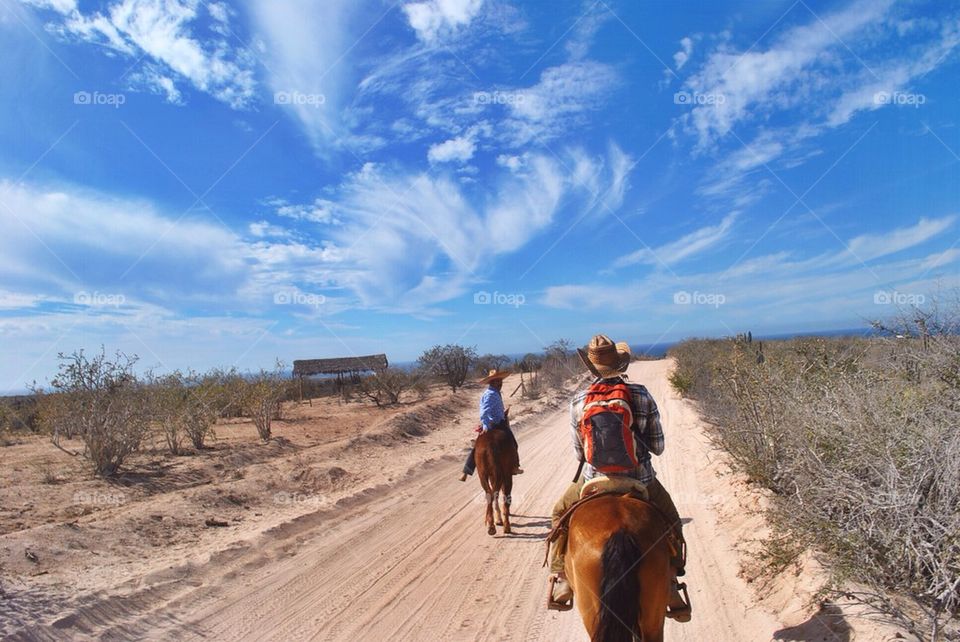 Horseback through the desert