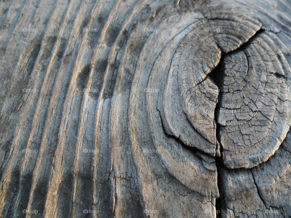 wood texture