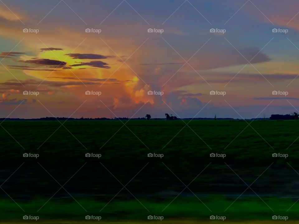 The Mississippi Delta is like no other. No matter where you are, it always calls you home. 