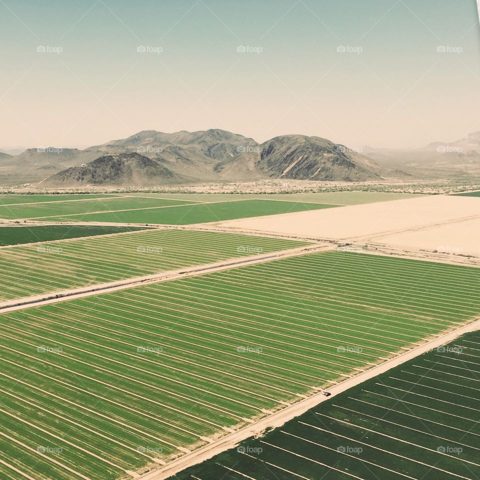 Crops. Aerial View of Crops 