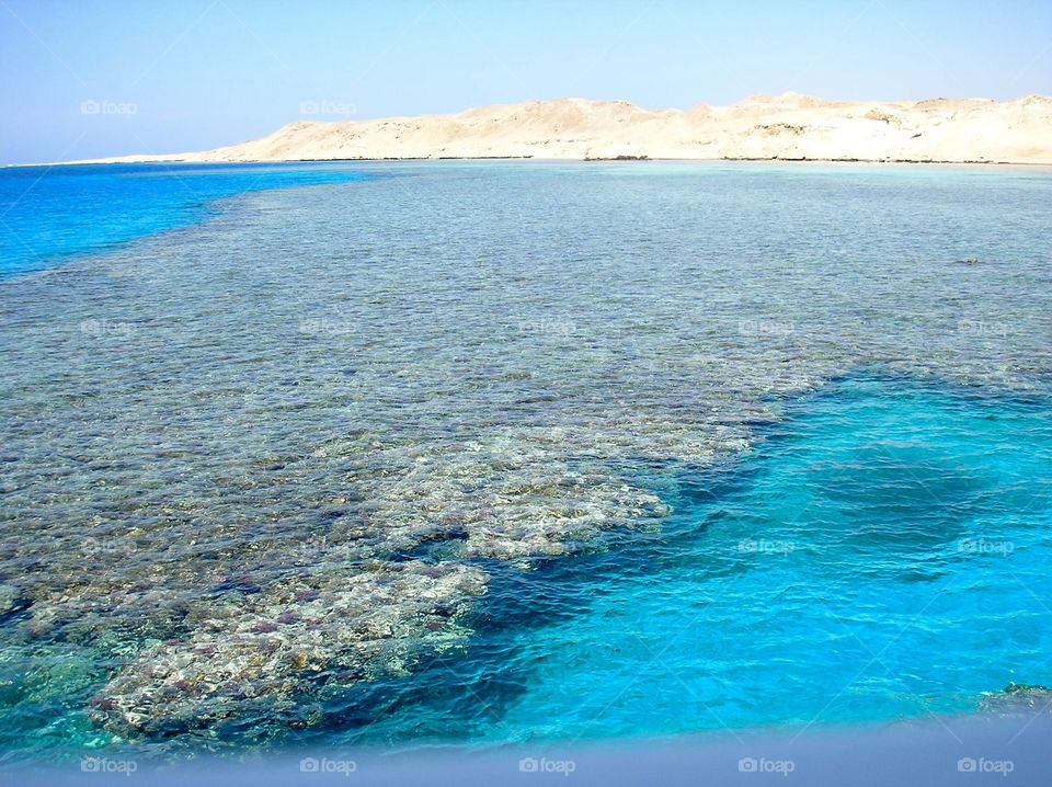 Coral reefs under blue clear water