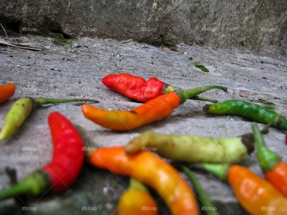 Close-up of red and green bird's eye chilies in the sand