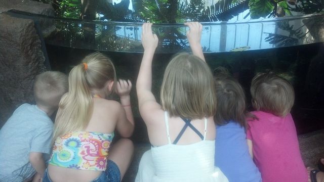 at the zoo