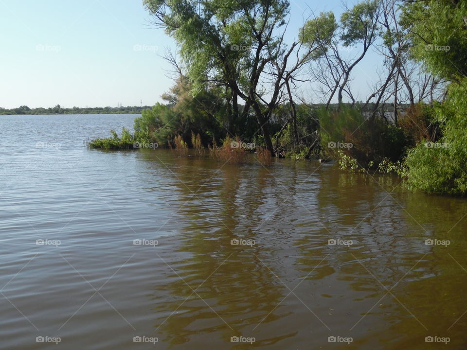 Graham Texas Lake. This is another picture of the Texas Lake that I visited while out exploring East Texas
