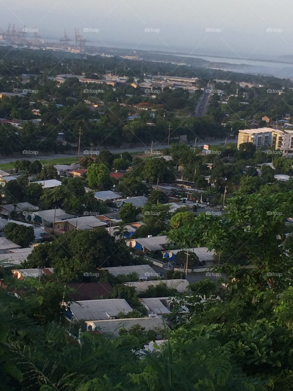 Looking down at the Community!