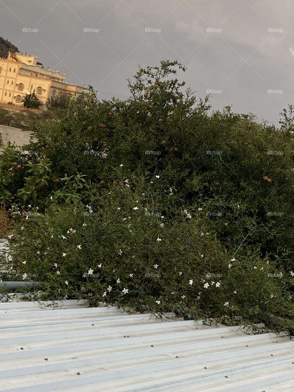 Beautiful trip with my family happy Eid 