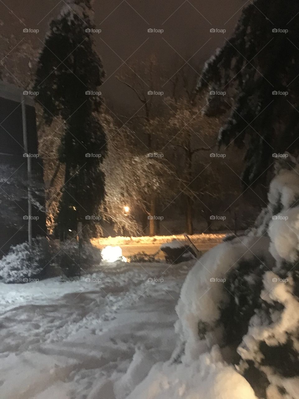 Winter Wonderland - Frozen Trees in the South Orange NJ Snow globe
