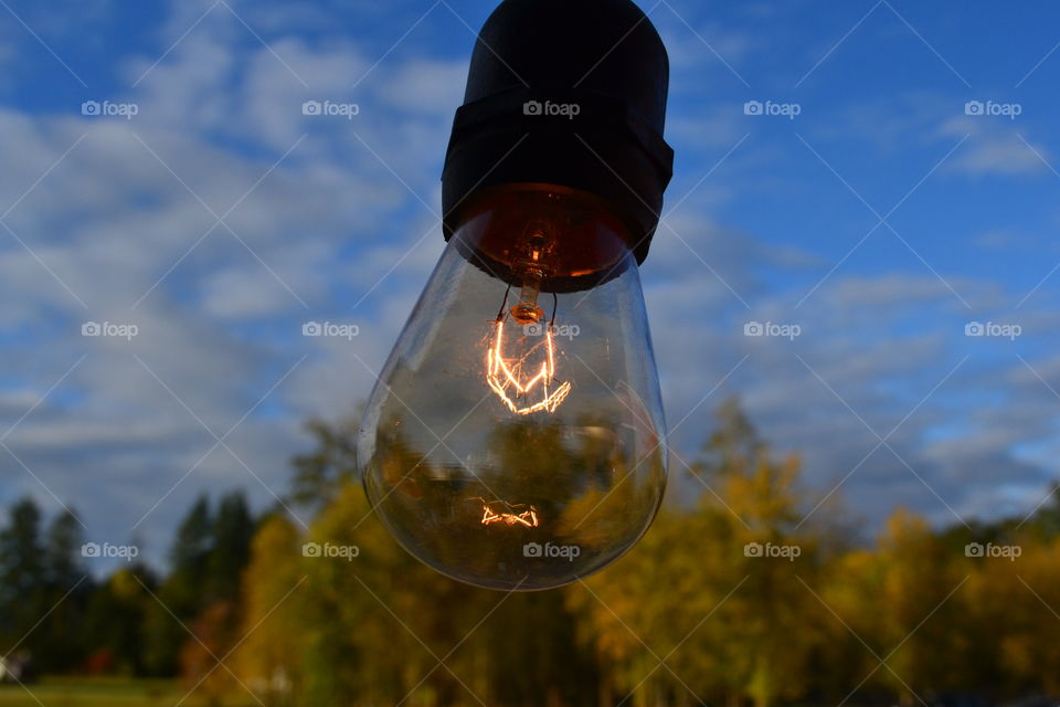 light bulb!