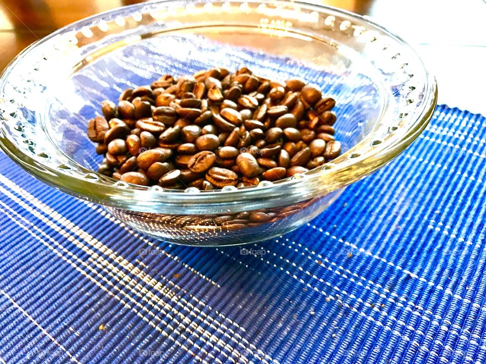 Cacao Beans on Blue